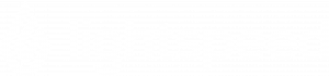 LightspeedLogo_White